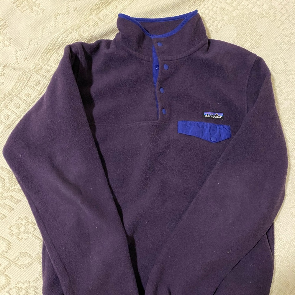 Patagonia Synchilla Pullover